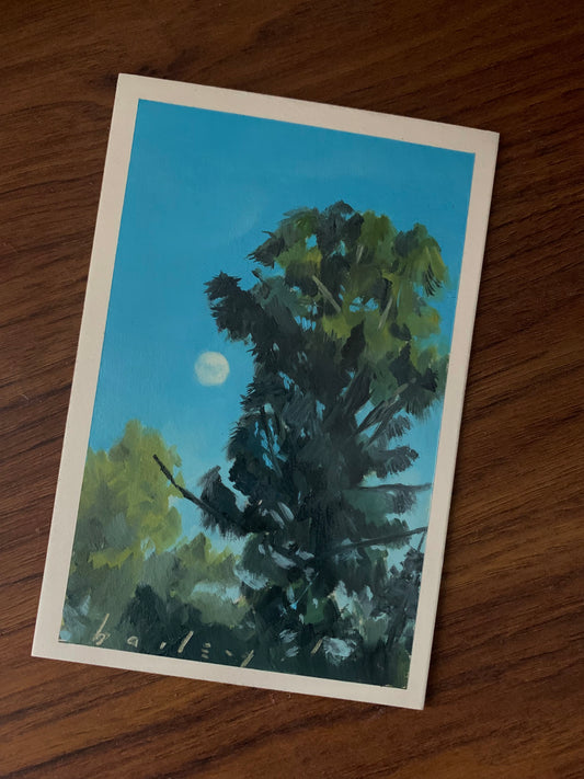 Griffith Park Pine, Day Moon - 4x6 Oil
