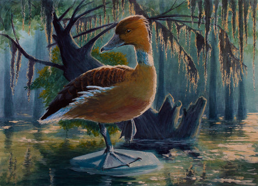 Fulvous Whistling-Duck - 18.5x23 Watercolor